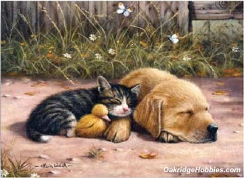 ROYAL BRUSH – SLEEPY DAY – Paint by Number Art Craft Kit (PJL28)