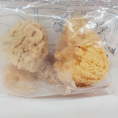 Royal Artist 4 REAL Sea Sponges Natural Ocean Sponge Med Silk & Wool & Yellow