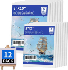 Pre-Stretched Canvases for Painting (12 Pack), Blank Painting Canvas for Adults