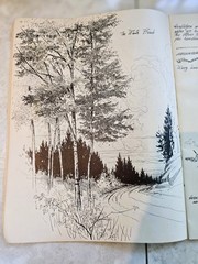 How to Draw Trees Vintage Walter Foster Art Book 1950s Frederick Garner