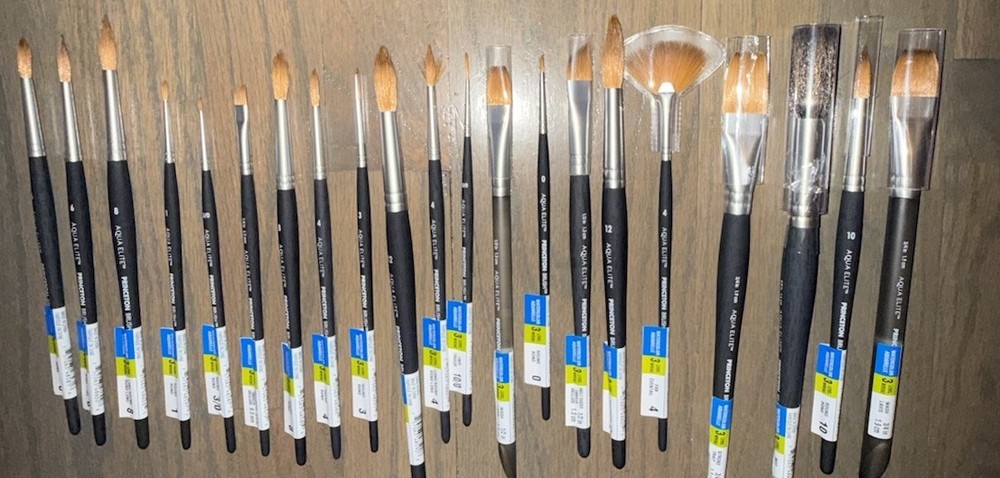 Princeton Aqua Elite 21 Brush Lot – Synthetic Kolinsky Watercolor Great Variety