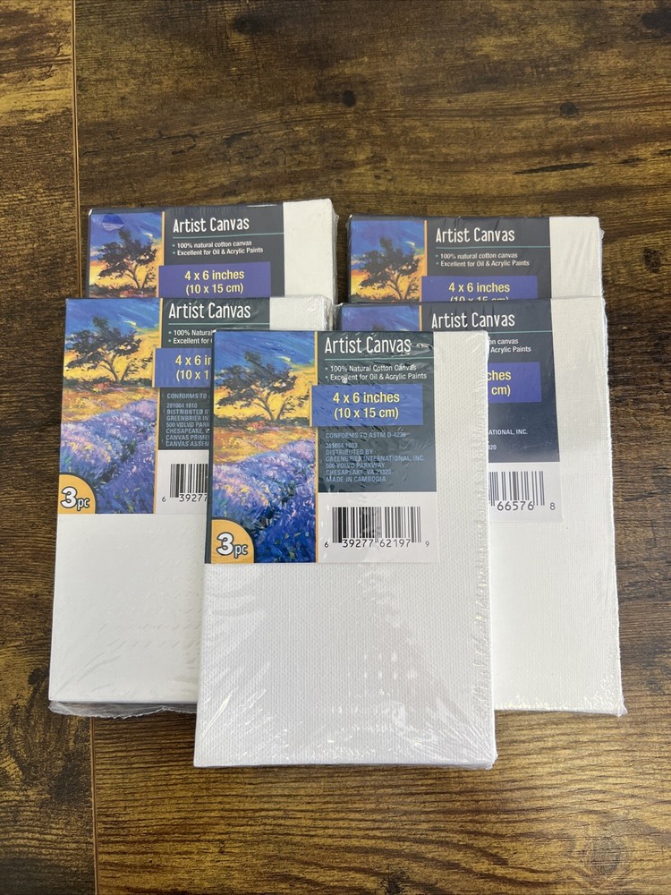 5 Total!! ARTSY & CRAFTS Pack Of 3 PC Artist Canvas 4”x6” Painting new