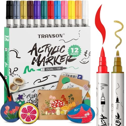 Fine and Brush Dual-tip Acrylic Paint Marker Pen Set for Canvas Rock 12 Colors