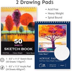 175 Piece Deluxe Art Set with 2 Drawing Pads, Acrylic Paints,Crayons,Colored Set
