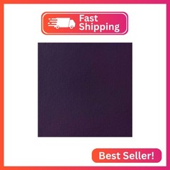 Liquitex BASICS Acrylic Paint, 118ml (4-oz) Tube, Dioxazine Purple