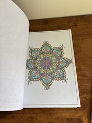 Adult Coloring Book Lot Mandalas & Jungle Designs-few pages used (see photos)