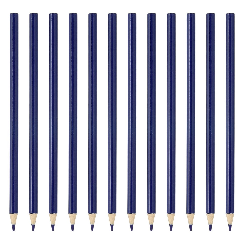 12Pcs Blue Colored Pencils Set for Artists Art Painting