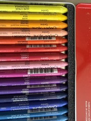 Caran d Ache Neocolor I 29 Count Water Resistant Wax Pastels Set in Metal Case