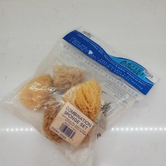 Royal Artist 4 REAL Sea Sponges Natural Ocean Sponge Med Silk & Wool & Yellow