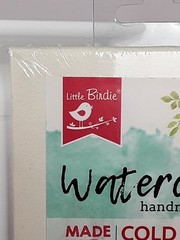 NEW Little Birdie Watercolor Panel 4 4×4 Handmade Cold Pressed 100% Cotton