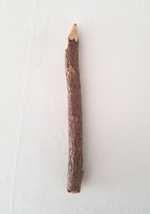 Tree Stick Orange Colored WOODEN PENCIL Crayon Twig Camping Decorative Wood