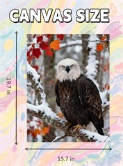 Eagle Paint By Numbers Kit For Adults DIY Wall Art Decoration 16×20 Inches