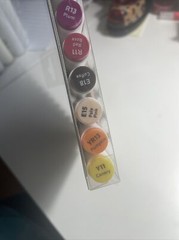 Sketch Marker Set, 12 Colors Premiere Markers By Nicole, Brush & Chisel Tip