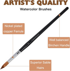 Watercolor Brushes Professional, Fuumuui 8Pcs Sable Paint Brush Set Variety Shap