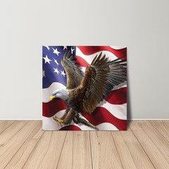 Briarwood Lane Everyday Canvas Art 16×16 American Freedom Eagle Medium Canvas