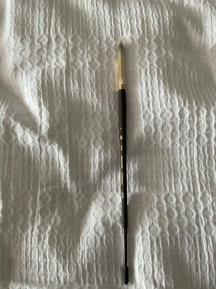 Brand New Princeton Umbria round brush #6