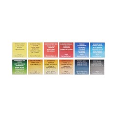 Winsor Newton Professional Watercolor Paint Set 12 Half Pan 193548
