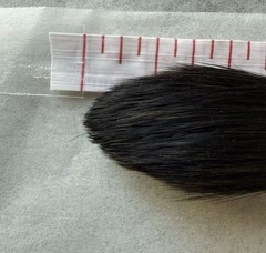 Lot of 9 Artists Brushes Princeton-Robert Simmons-Windsor Newton-Various Sizes