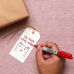 Sharpie Permanent Markers, Fine Point 2 Count (Pack of 1), Red