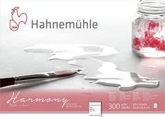 Hahnemuhle Harmony Watercolor Block Cold Pressed 10X14 Inches 12 Sheets