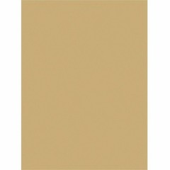 Tru-Ray Construction Paper (p103067)