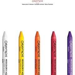 Caran D’Ache Caran Dache Neocolor Ii Watersoluble Watercolor Chalk 30 Colors