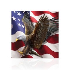 Briarwood Lane Everyday Canvas Art 16×16 American Freedom Eagle Medium Canvas