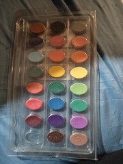 DS1- Crayola Washable Watercolors 23 Colors Brush Long-Lasting Brilliant Colors