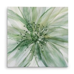 Wexford Home Macro Sage Flower II Gallery Wrapped Canvas Wall Art, 40×40,