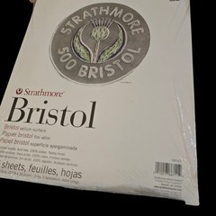 7 Strathmore 500 Series Bristol Paper Pad 15 Sheets 11×14