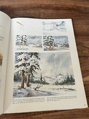 How To Draw And Paint Watercolors Collecter Series 1991