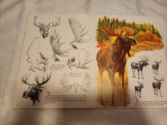 Vintage WALTER T. FOSTER Art Books Drawing and Painting Instruction Lot of 4