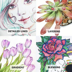 50 Count Colored Pencils for Adult Coloring Books, Coloring Pencil Set for Adult