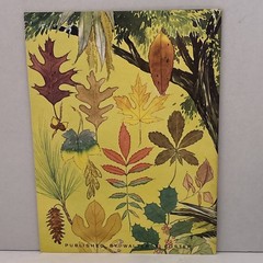 Art Drawing Paint How To Books WALTER FOSTER Lot Of 6 Vintage Read Description
