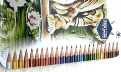 Staedtler 24-Pk Color Pencils Set 3.0 mm Lead Break Resistant Metal Tin Case