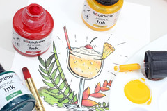 Acrylic Drawing Ink – 10 X 1.18 Fl Oz (35 Ml) Bottles with Ink Dropper | Suitabl