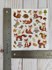 Adult Or Teen Coloring Book Adorable Animals 16 Single Sided Designs + Stickers