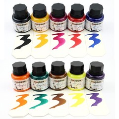 Acrylic Inks for Artists Set of 10 35ml Professional Ink for Painting