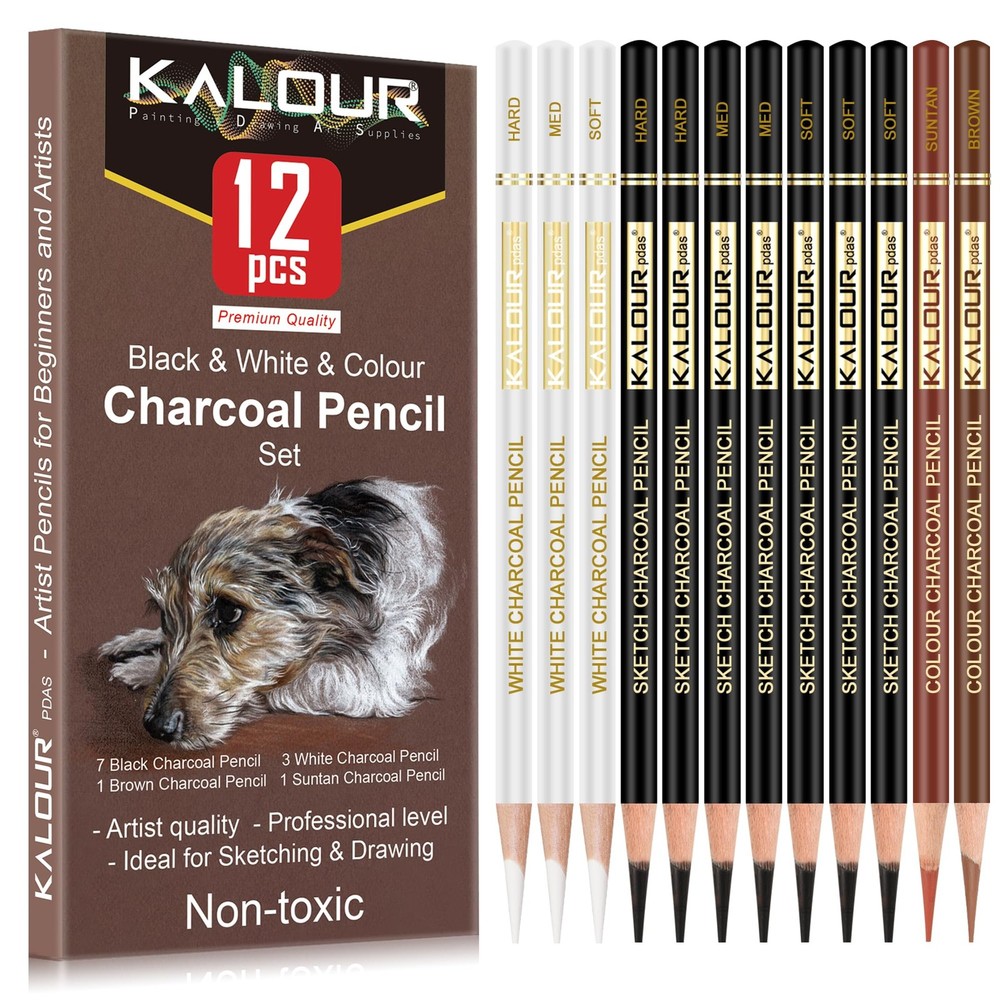 KALOUR Pro Colored Charcoal Drawing Set,12 Pieces Pastel Chalk Pencils for Sk…