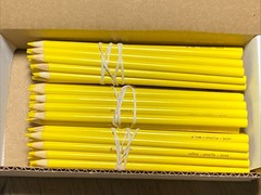 (60) Crayola Colored Pencils (yellow) BULK