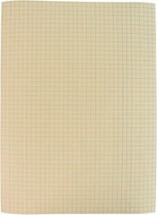 Graph Paper, 1/4 Inch Rule, 9 X 12 Inches, Manila, 500 Sheets