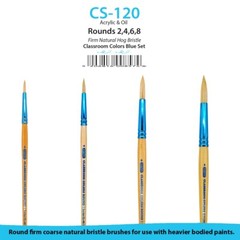 ZEM Classroom Colors Natural Hog Bristle Firm Artist Brush Sets 6 Types