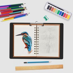 Extra Large 11×17 Clipboards, Plastic Black Drawing Boards, Horizontal Clip B…