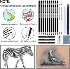 Charcoal Drawing Set 19-Piece Pencils Sketching Art Kit
