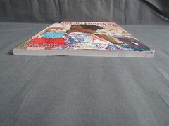SHOJO FASHION Manga Art School Year 2 Drawing Book by Flores and McSpadden