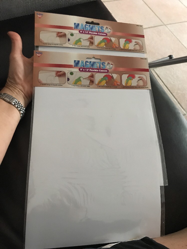 2 Pack Flexible Magnetic Sheets 9×12 Canvas Nicole White Craft Magnets