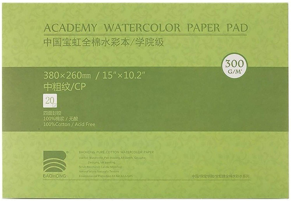 BAOHONG Academy Grade Watercolor Painting Paper, 100%Cotton Cold Press, 20 Sheet