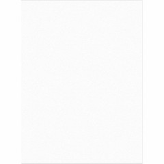 Tru-ray Construction Paper – 9″ X 12″ – White (PAC103026)