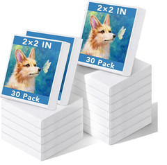Prudiut 30 Pack Mini Painting Canvas, 2x2inch Small Canvas, Stretched Canvases,