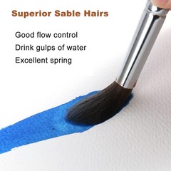 Sable Watercolor Brushes Professional, 8Pcs Kolinsky Sable Brush Set Variety Sh
